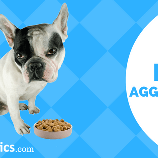 How to Avoid Food Aggression in Dogs