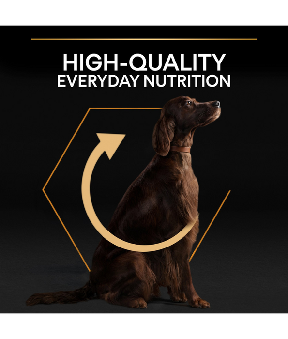 Purina Pro Plan Everyday Nutrition Large Athletic Adult Dry Dog food with Chicken 14 kg