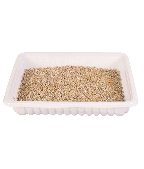 Trixie - Cat Soft Grass Seeds & Tray Kit - Aids Digestion, Helps With Hairballs - 100g