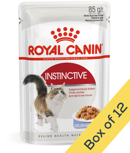 Royal Canin Wet Cat Food Instinctive Jelly 85g