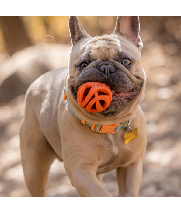 Chuckit! Air Fetch Ball