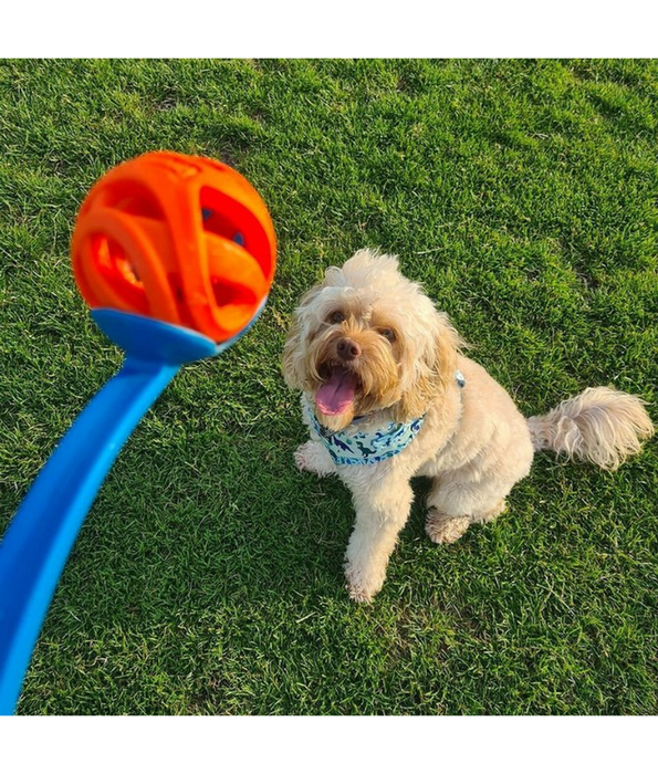 Chuckit! Air Fetch Ball