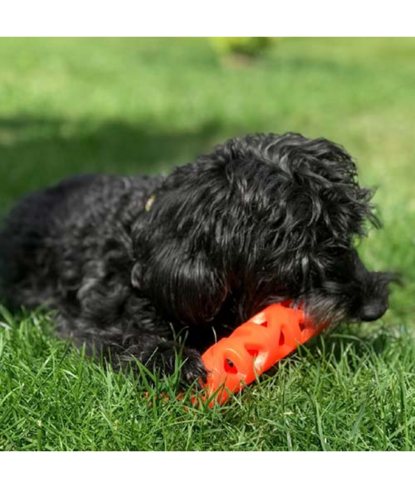 Chuckit! Air Fetch Stick Dog Toy