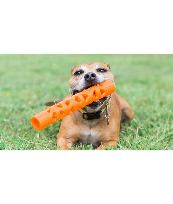 Chuckit! Air Fetch Stick Dog Toy