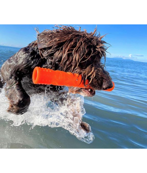 Chuckit! Air Fetch Stick Dog Toy