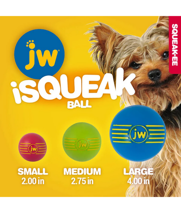 JW iSqueak® Ball – Durable & Fun Squeaky Toy - Small