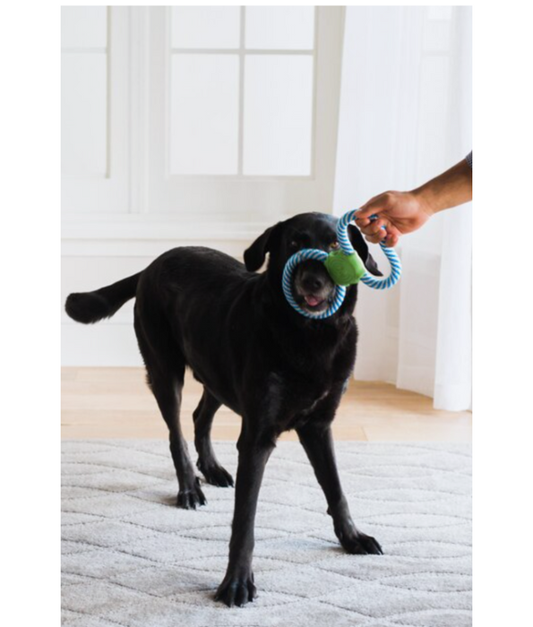 JW® Giggle Tug – Interactive Tug & Fetch Toy