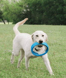 Chuckit! Rugged Fetch Wheel Dog Toys