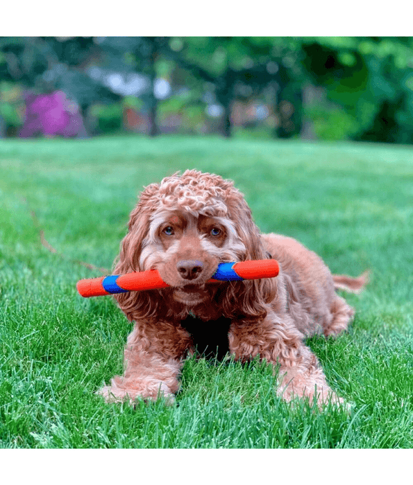 Chuckit! Ultra Fetch Stick Dog Toys