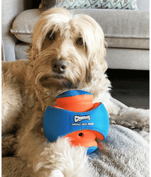 Chuckit! Giggle Kick Fetch Dog Toy Dog Toys