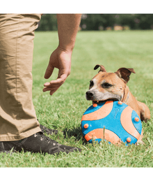 Chuckit! Whistle Flight Dog Fetch Toy Dog Toys