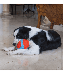 Chuckit! Indoor Fumbler Dog Toys