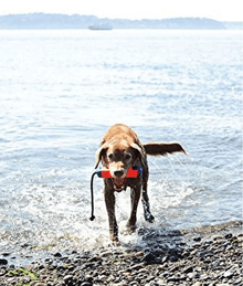 Chuckit! Amphibious Bumper Floating Dog Toy Dog Toys