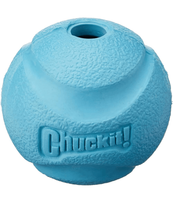 Chuckit Fetch Balls-Large Ball Dog Toys