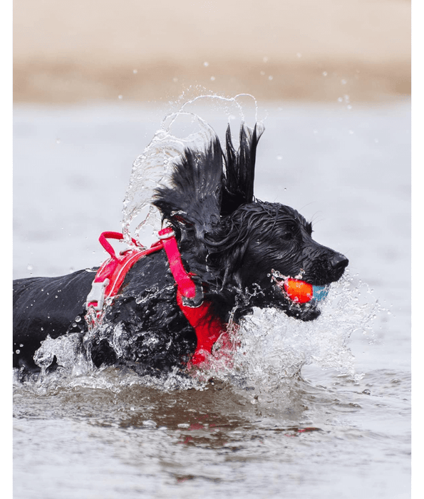 Chuckit! Amphibious Fetch Balls 3 Pack Dog Toys