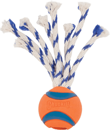 Chuckit! Ultra Toss Dog Toys