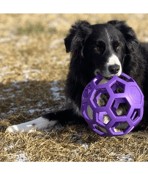 JW Hol-ee Roller Puzzle Dog Toy JW