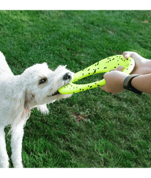 Kong - Reflex Flyer Dog Toys