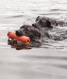 Kong - Training Dummy Dog Toys