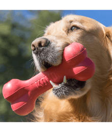 Kong - Goodie Bone Dog Toys