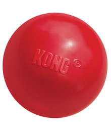 Kong - Ball With Hole Dog Toys