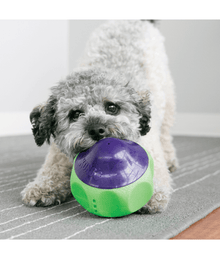 Kong - Babbler Dog Toys