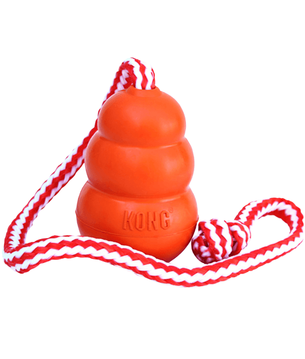 Kong - Aqua Dog Toys