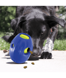 Kong - Tikr Dog Toys