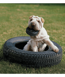 Kong - Extreme Tires Dog Toys