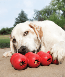 Kong - Goodie Ribbon Dog Toys