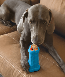 Kong - Treatster Dog Toys