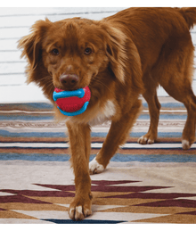 Kong - Jaxx Brights Red Ball Dog Toys