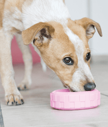 Kong - Puppy Tires Pink Small Dog Toys