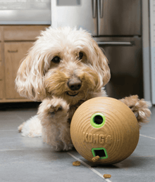 Kong - Bamboo Feeder Dumbbell Dog Toys