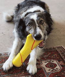 Kong - Tennis Buoy With Rope Dog Toys