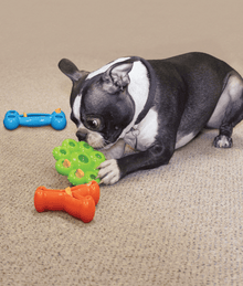 Kong - Quest Wishbone Large Dog Toys