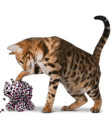 Kong - Cat Puzzlements Forage Kitty Cat Toys