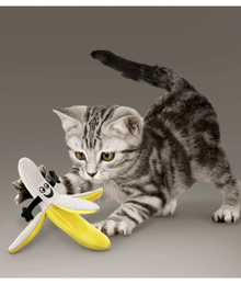 Kong - Better Buzz Banana Cat Toys