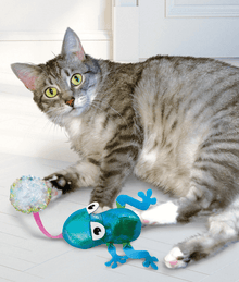 Kong - Flingaroo Frog Cat Toys