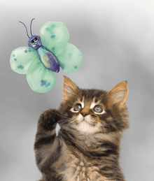 Kong - BetterBuzz Butterfly Cat Toys