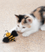 Kong - Better Buzz Bee Cat Toys