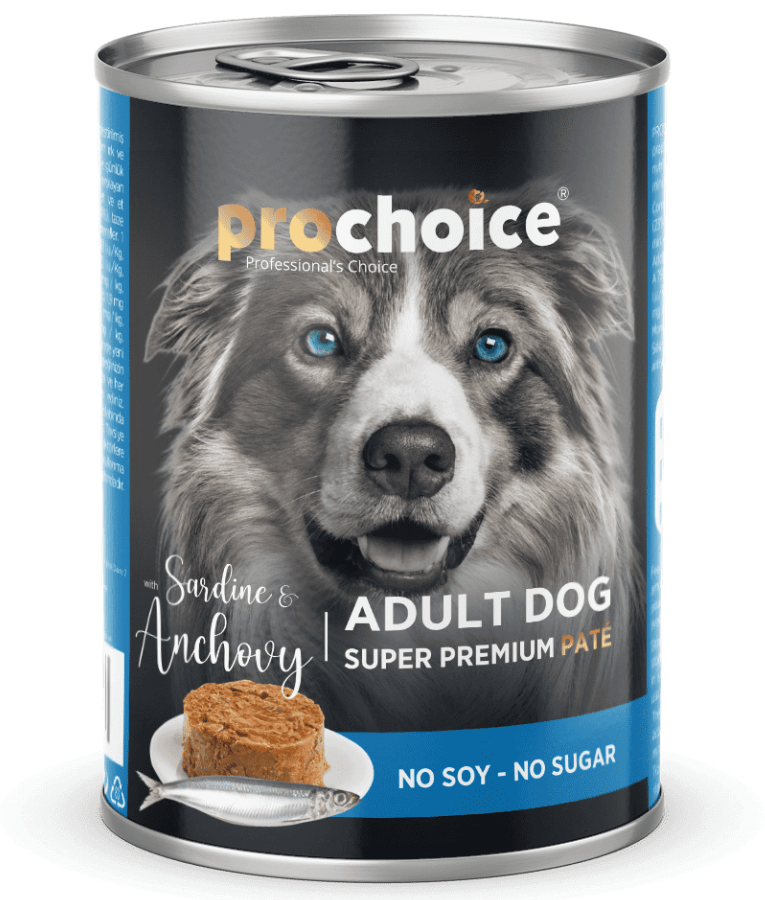 Anchovy store dog food