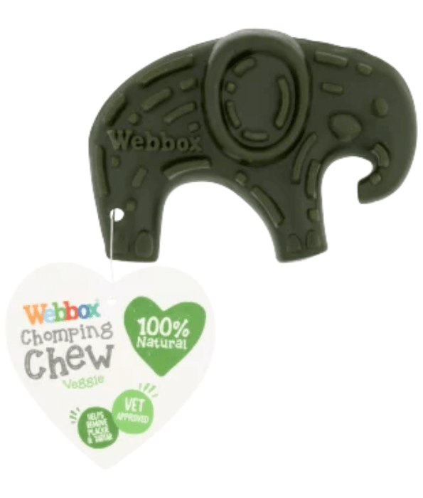 Webbox Chomping Chew Vegie Elephant