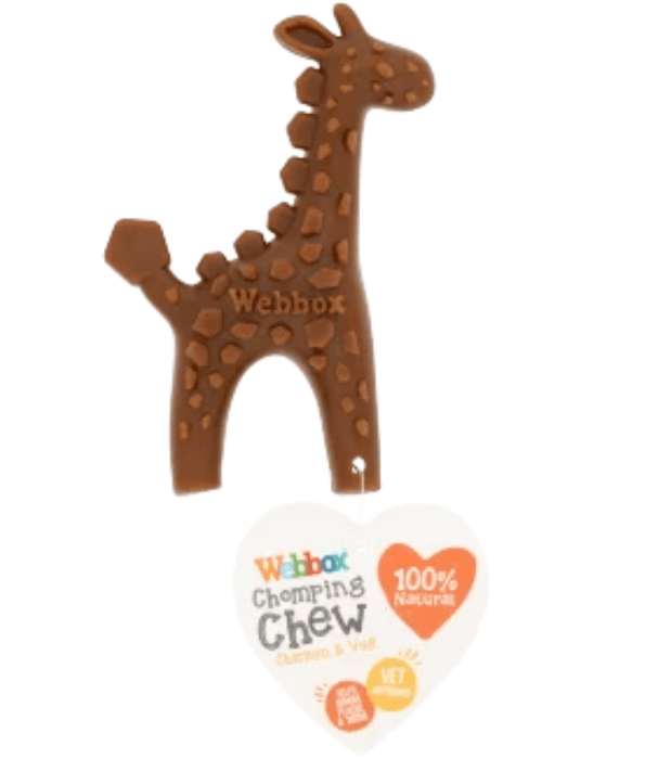 Webbox Chomping Chew Chicken & Vegie Giraffe