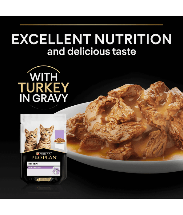 Purina Pro Plan Kitten, Wet Cat Food, Turkey in Gravy 85g Cat Food