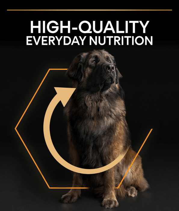 Purina Pro Plan Everyday Nutrition Large Robust Adult, Dry Dog food with Chicken 14kg Dog Food