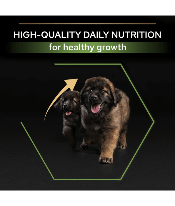 Purina Pro Plan Healthy Start Large Robust Puppy, Dry Dog food with Chicken 3kg-12kg Dog Food