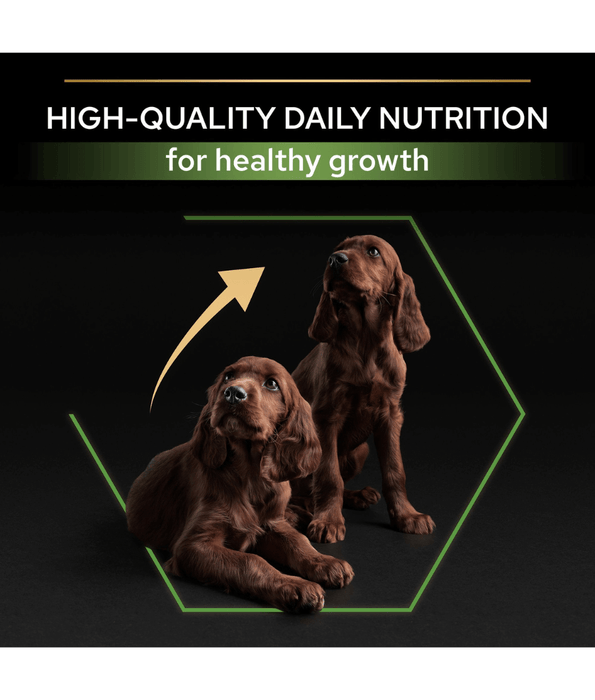 Purina Pro Plan Healthy Start Large Athletic Puppy, Dry Dog food with Chicken 12 kg Dog Food