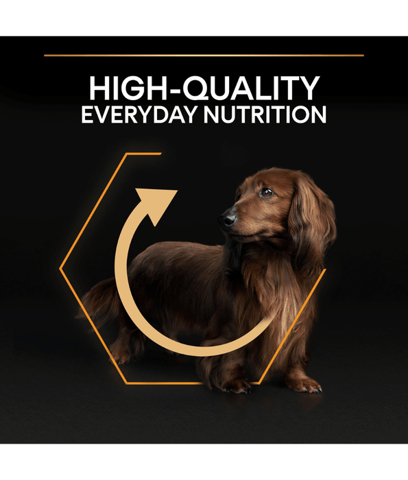 Purina Pro Plan Everyday Nutrition Small and Mini Adult, Dry Dog food with Chicken 3kg Dog Food