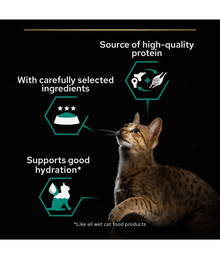 Purina Pro Plan Adult Maintenance, Wet Cat Food, Terrine Rich in Chicken 85g Cat Food